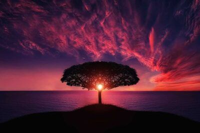 Árbol en silueta frente al mar al atardecer con nubes rojizas y el sol asomando entre sus ramas, significado estar nubes explicacion ejemplos