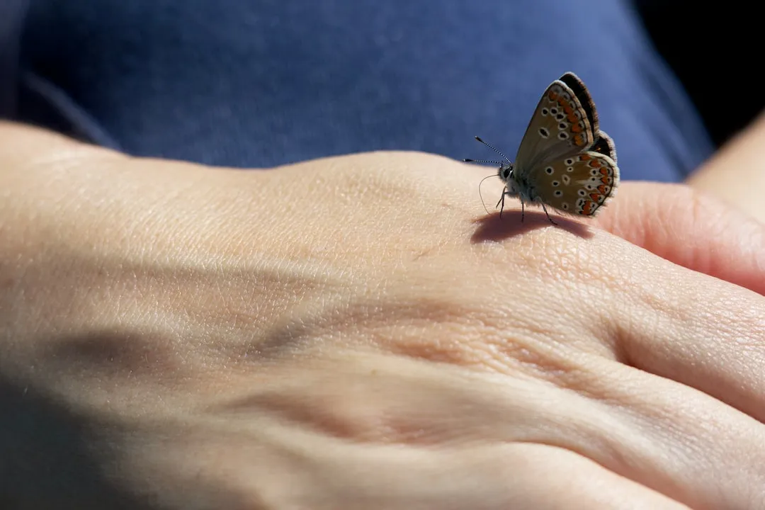 Una mariposa de colores vibrantes, con sus alas extendidas, tatuada en la muñeca de una persona, simbolizando la transformación y la libertad 