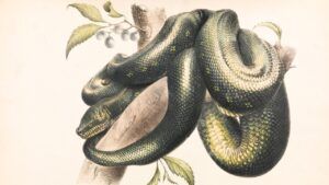 Ilustración de una serpiente enroscada en una rama que evoca significado signos zodiaco influencia vida