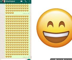 Captura de chat de mensajería llena de emojis sonrientes que ilustra el significado y curiosidades del emoji informacion completa 1.