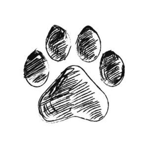 Dibujo en blanco y negro que muestra el simbolismo y significado de un tatuaje de pata de gato en estilo boceto.