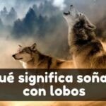 Soñar con ser atacado por un lobo: Guía para interpretar tus sueños