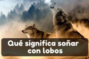 Lobos aullando en un paisaje brumoso con texto relacionado a sonar con ser atacado por un lobo guia para interpretar tus suenos 1