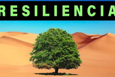 Árbol solitario en dunas que representa todo lo que necesitas saber sobre el significado de resiliencia