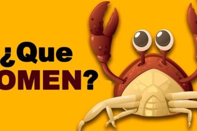 Ilustración colorida de un cangrejo con la frase ¿Qué comen?: todo lo que necesitas saber sobre la alimentacion de las focas