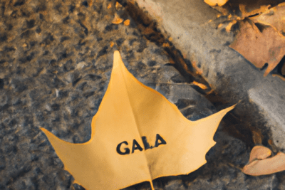 Hoja amarilla sobre pavimento junto al bordillo que evoca abandono y transición ya caducada todo lo que necesitas saber sobre este termino